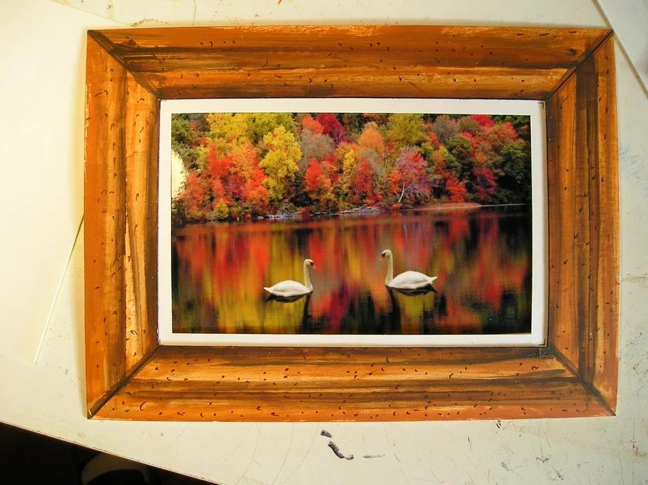 Rustic wood frame with swan photo and fall foliage