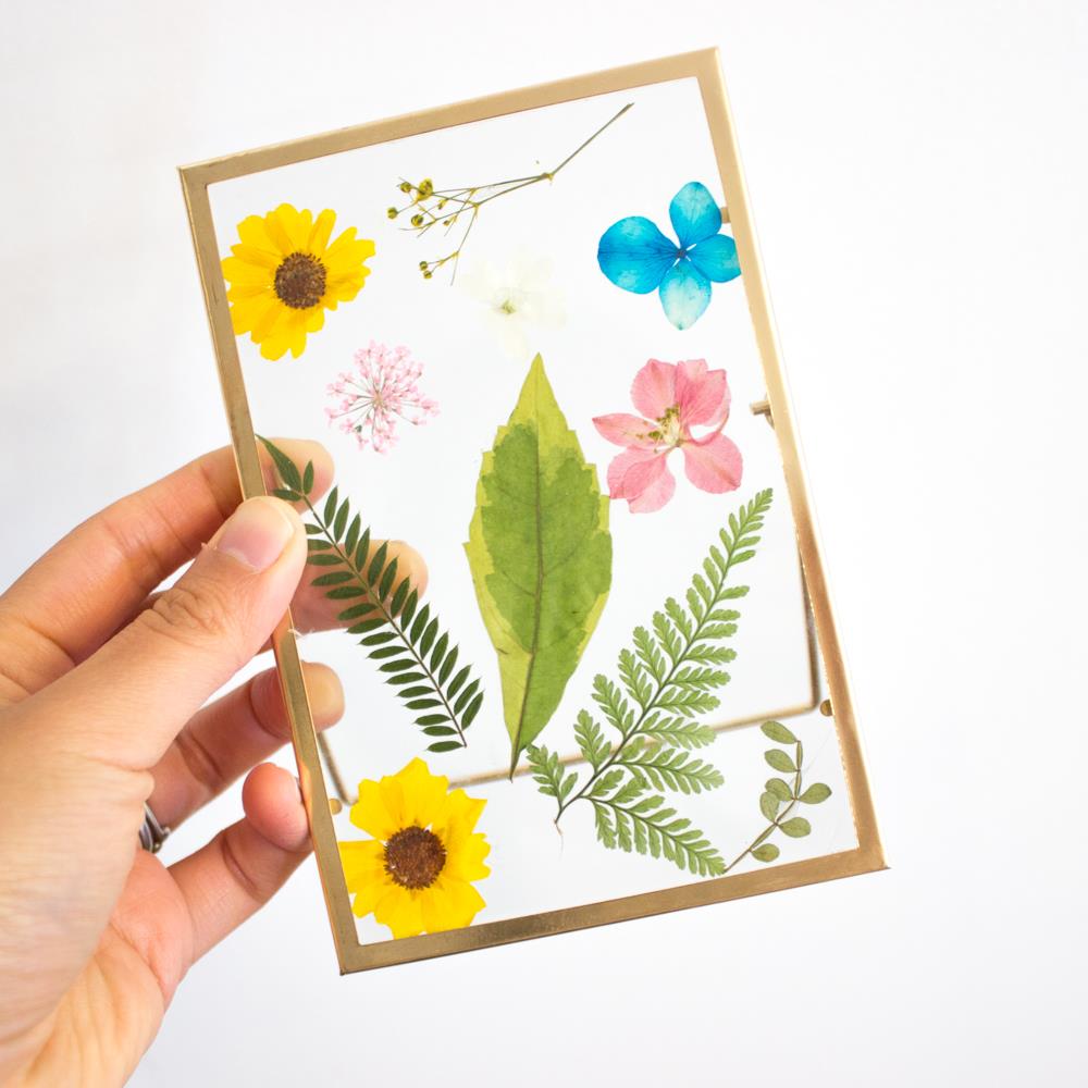 Hand holding a small glass frame with pressed flowers.