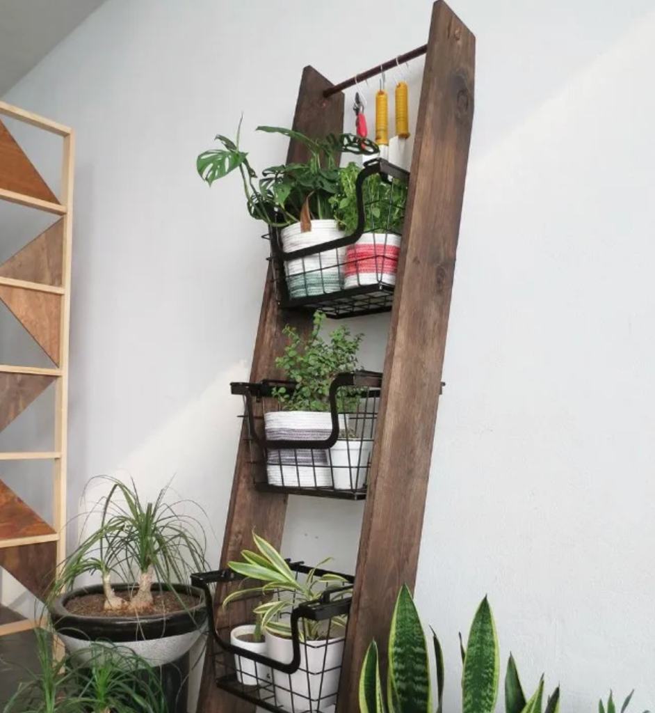 rustic ladder plant stand with multiple indoor houseplants and storage baskets