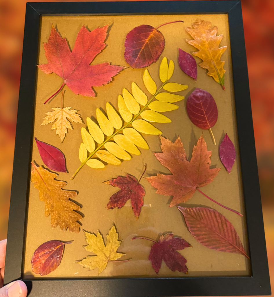 framed pressed autumn leaves artwork with colorful fall foliage for DIY wall decor ideas