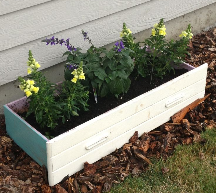 A white dresser on the mulch between the side of a house and the lawn being used as a planter with flowers blossoming within it.