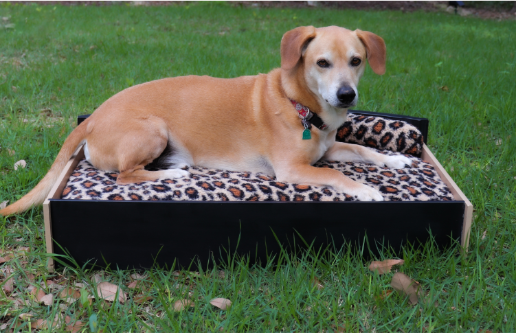 A dog laying on a drawer converted into a giraffe patterned print bed out in the yard on the grass in the share.