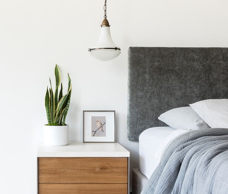 A snake plant in the corner quietly freshens up the dreamiest bedroom air