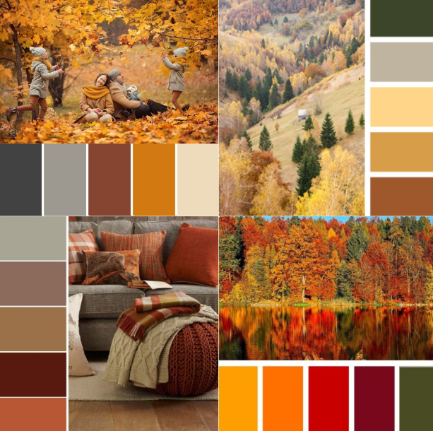 Feel the warm refresh of fall from the comfort of your home
