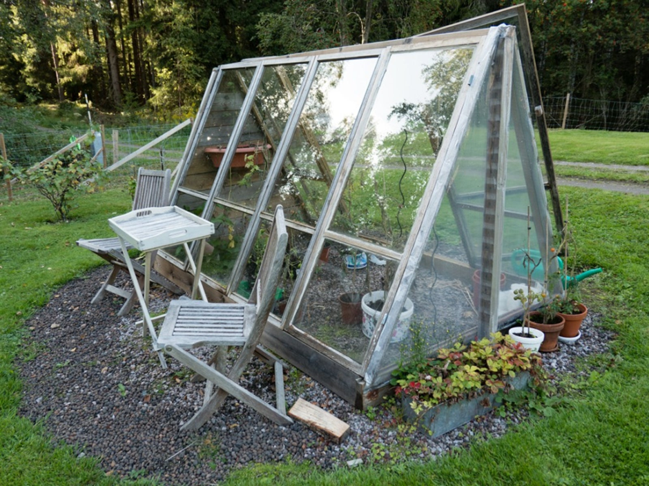 Vintage window frames repurposed into a small greenhouse structure in a garden.