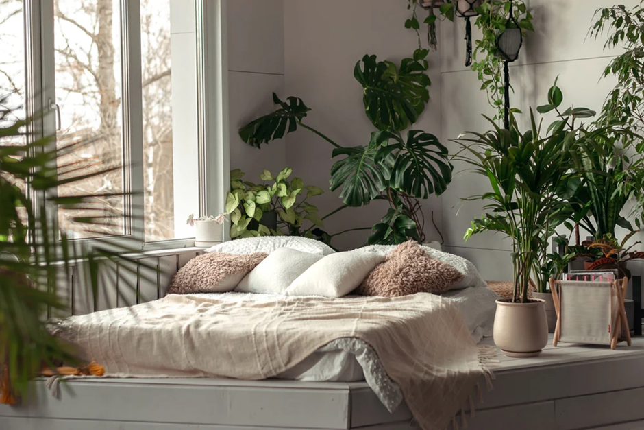 Cozy bed by the window surrounded by green houseplants