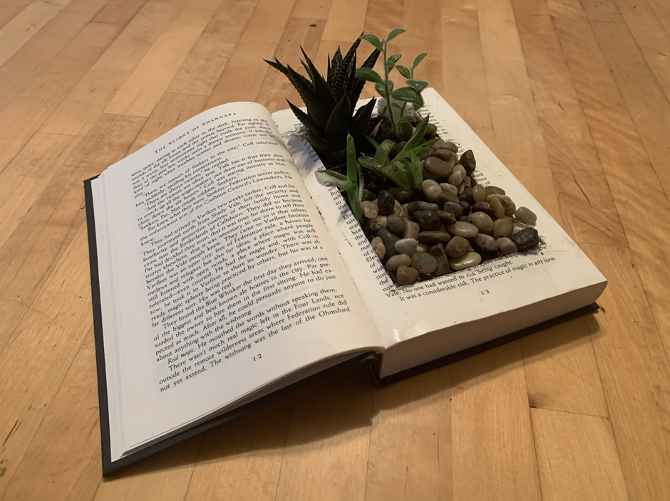 Upcycled old book planter with succulents and decorative pebbles for creative home decor.