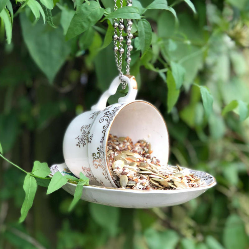 A teacup and matching saucer hung in a tree being used as a birdfeeder.