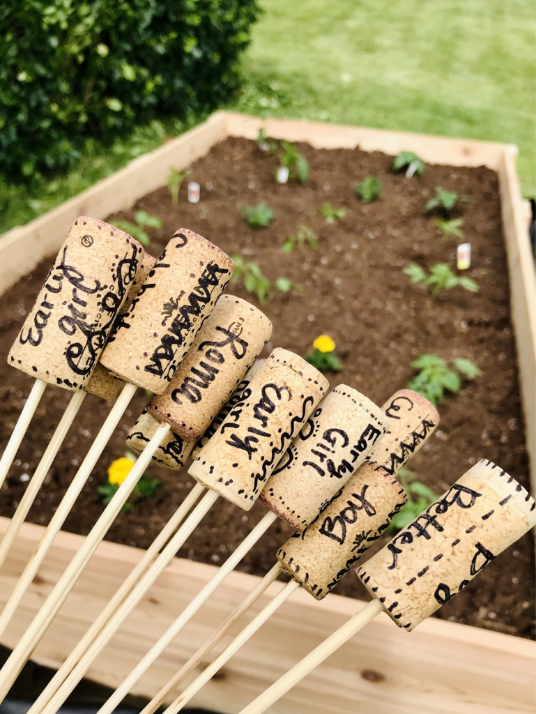 Wine corks used as labels in a garden.