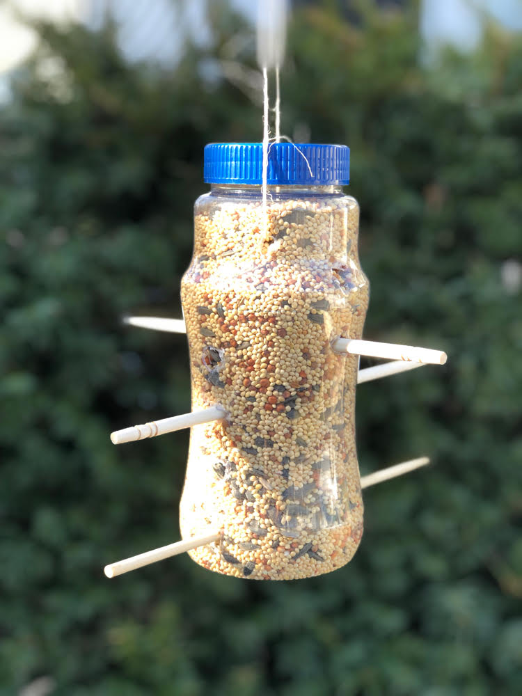 A bird feeder made out of a bottle.