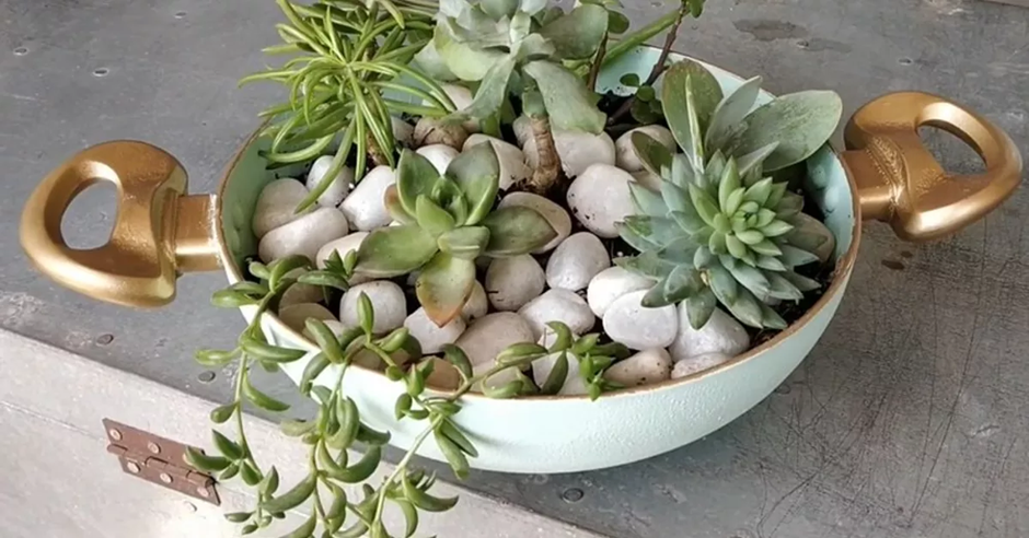 Old cooking pan repurposed as a succulent planter filled with white stones and assorted succulent plants
