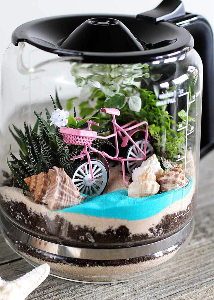 Glass coffee pot converted into a miniature terrarium featuring plants, shells, sand, and a small pink bicycle decoration