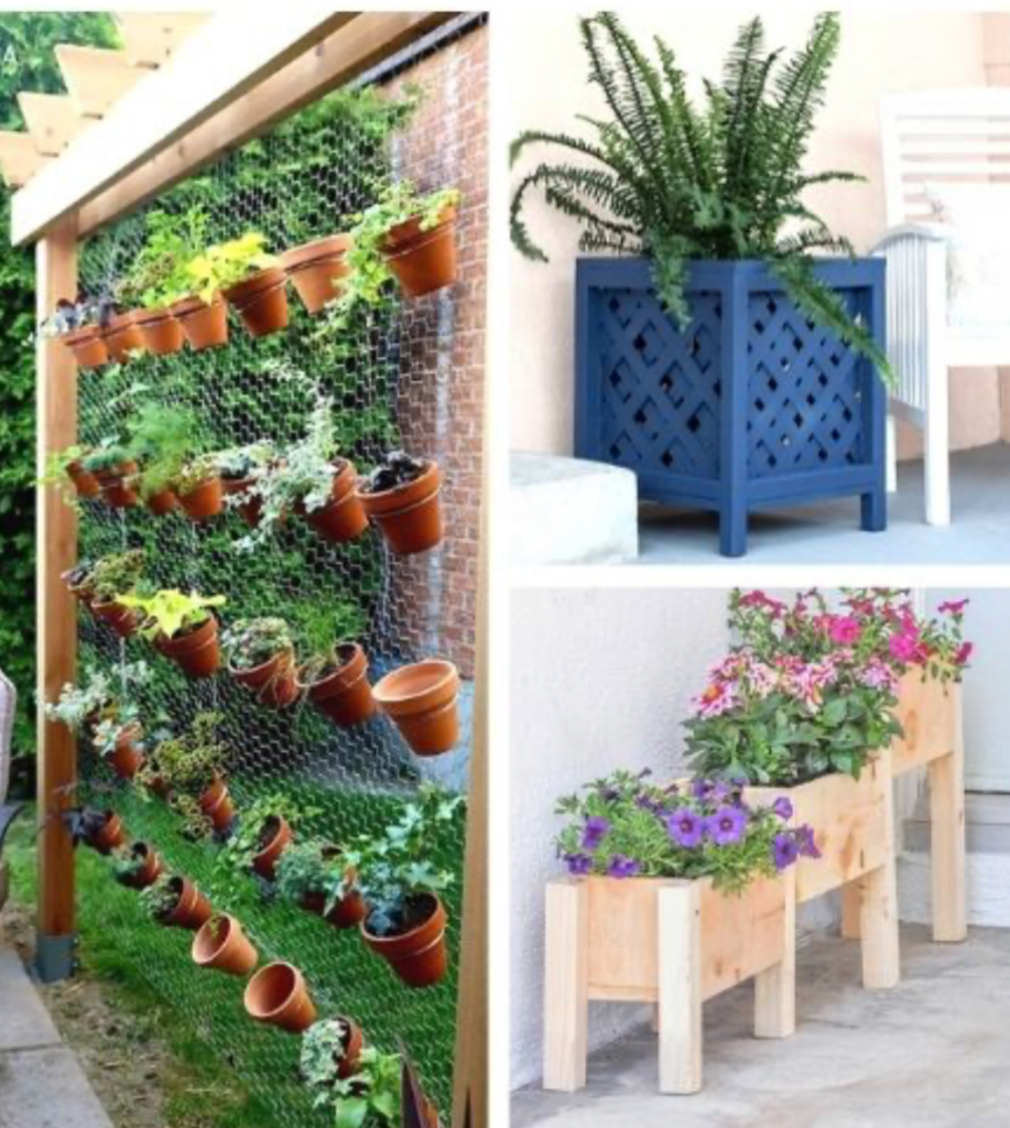 Vertical garden wall with terracotta pots mounted on wire mesh for small space backyard gardening