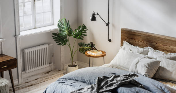 bedroom with bed, heater, potted plant and side table.