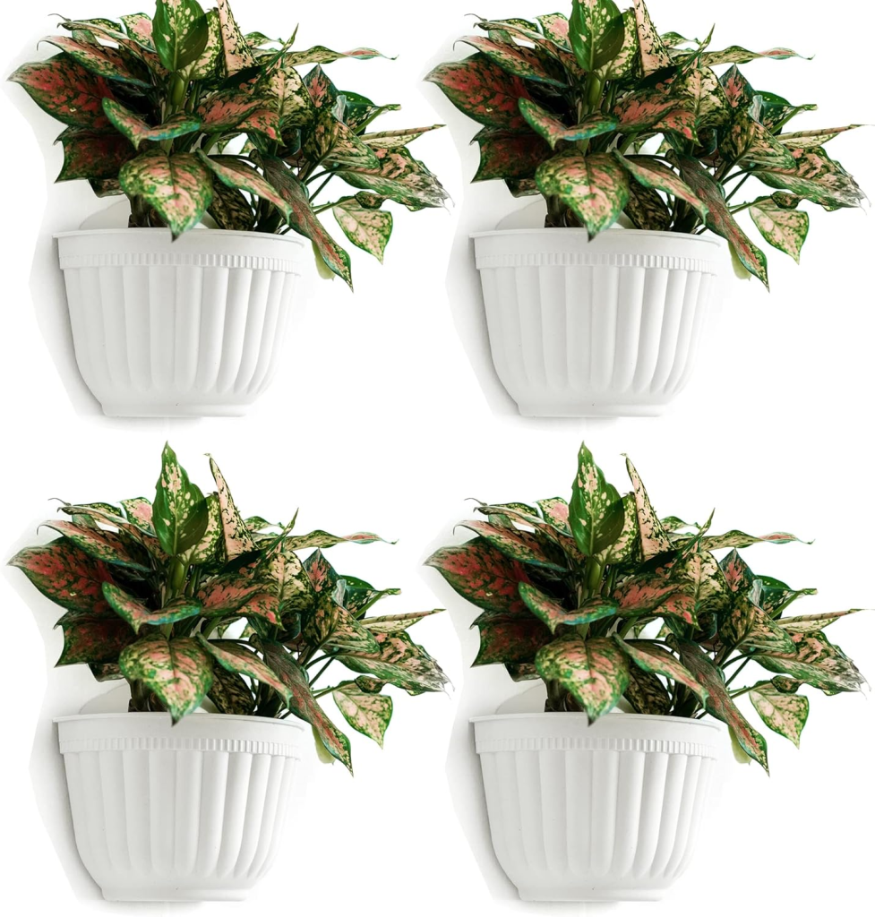 A white wall with planters affixed.