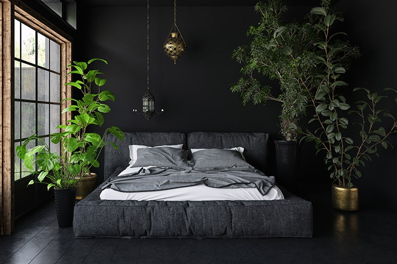 Dark bedroom with indoor plants and soft lighting.