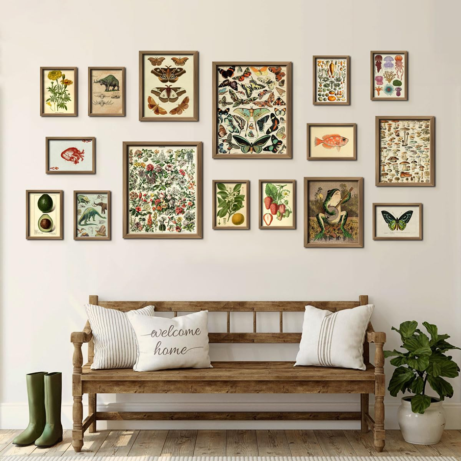Botanical gallery wall over rustic entry bench with pillows.