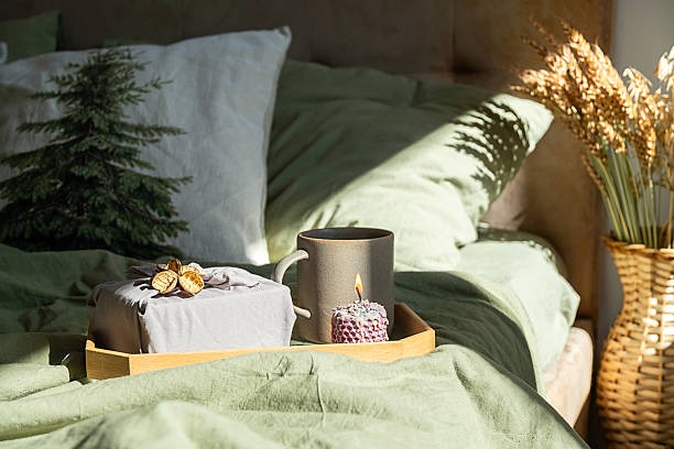 Cozy bedroom with the perfect dash of nature